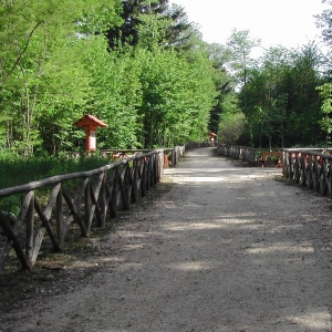 Serra San Bruno