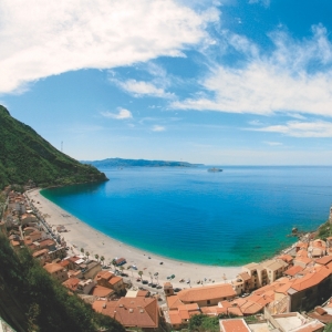 Scilla