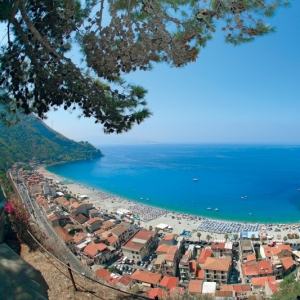 Scilla